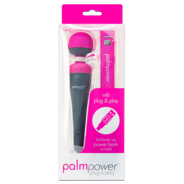 PalmPower Plug & Play Massager